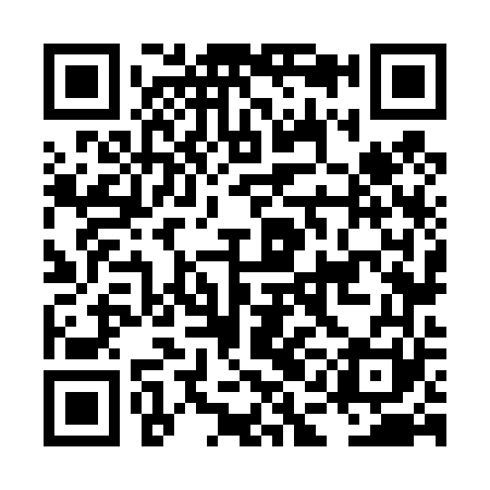 QR code for LAN461