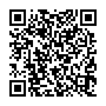 QR code for LAS313
