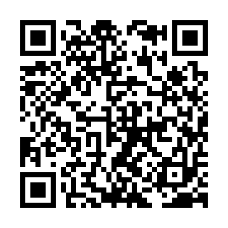QR code for LAY313