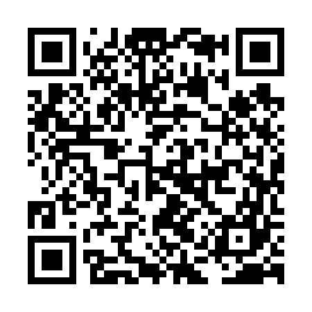 QR code for LAY667