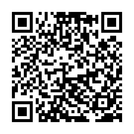 QR code for LDG500