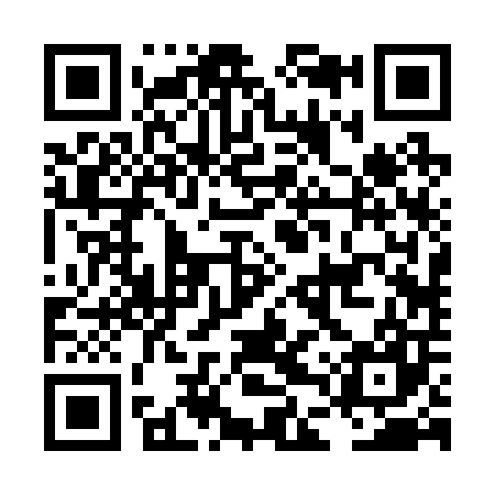 QR code for LDR207
