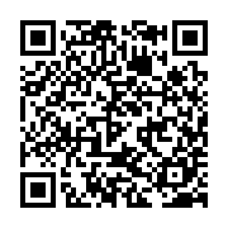 QR code for LDU385