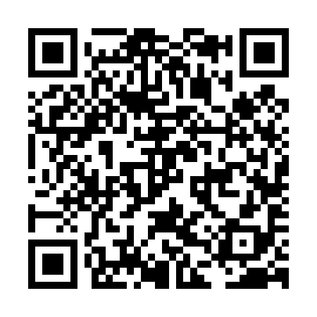 QR code for LDV498