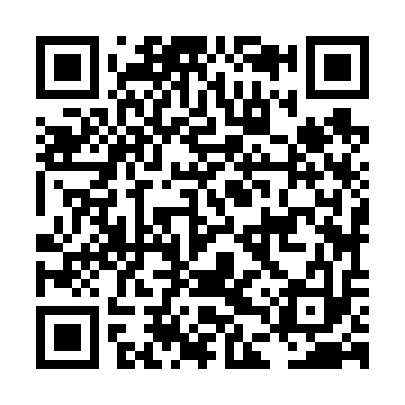 QR code for LDZ613