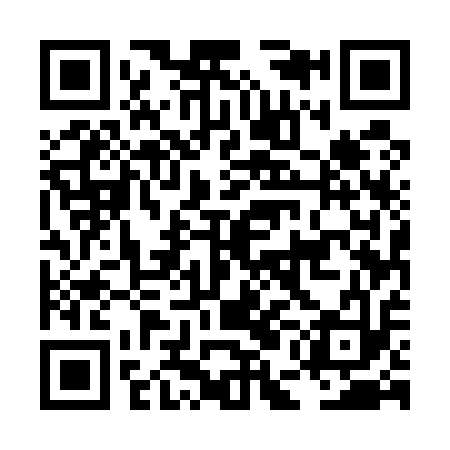 QR code for LEE513