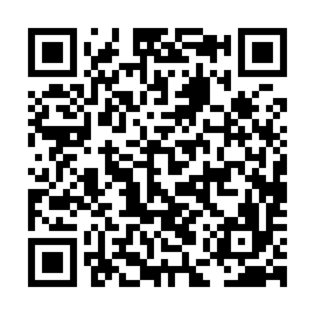 QR code for LEP996