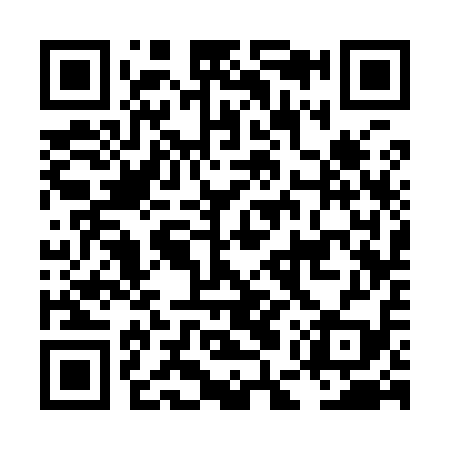 QR code for LES919