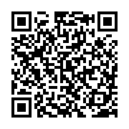 QR code for LEZ989