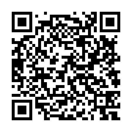 QR code for LFF838