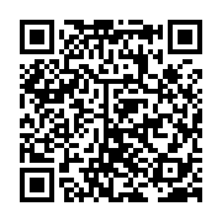 QR code for LFI938