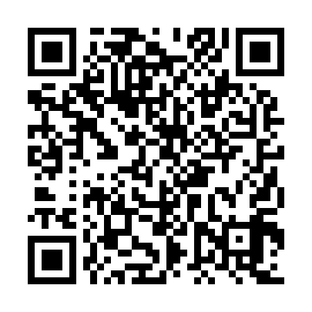 QR code for LFR919