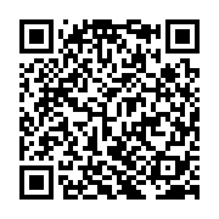 QR code for LIE379
