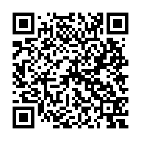 QR code for LIE733