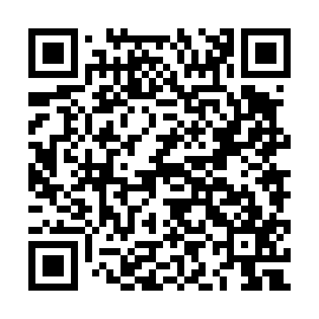 QR code for LIN417