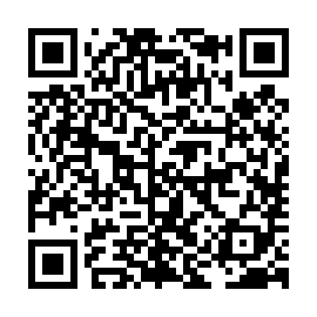 QR code for LIR489