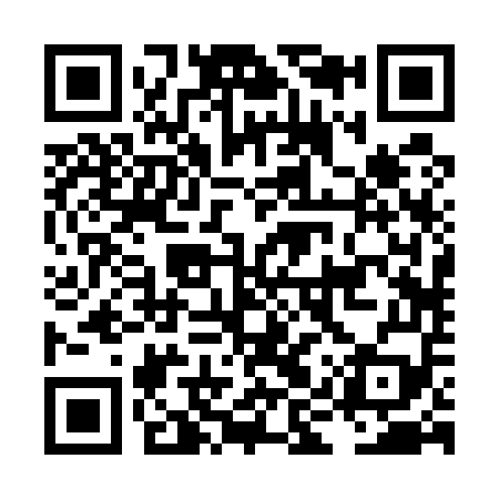 QR code for LIR559