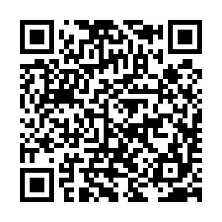 QR code for LIR594