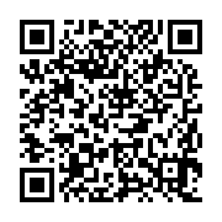 QR code for LIR995