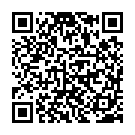 QR code for LIZ751