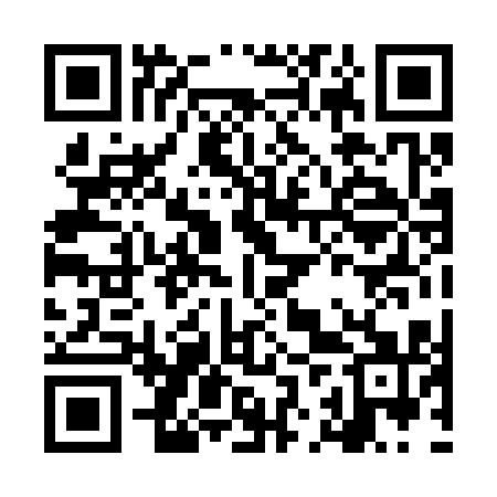QR code for LJP311