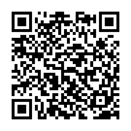 QR code for LLI955