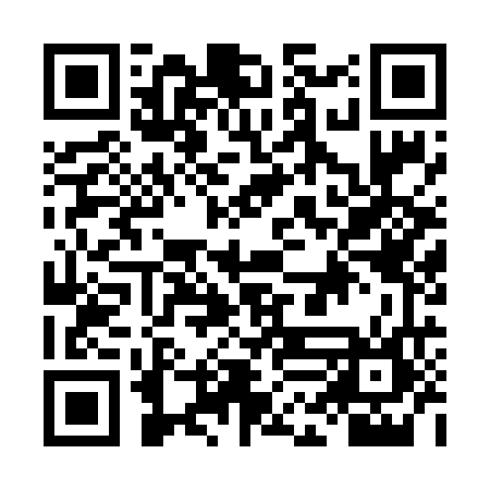 QR code for LLM666