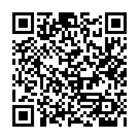 QR code for LLM729