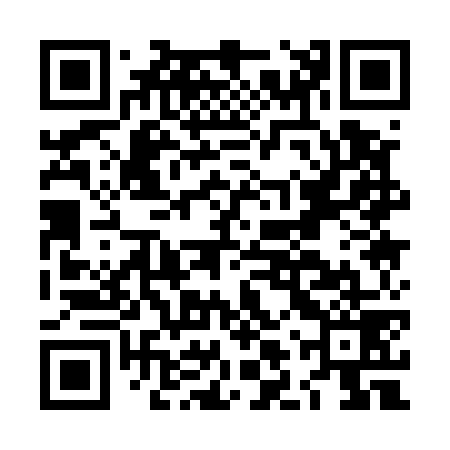 QR code for LLQ579