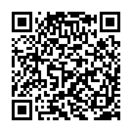 QR code for LLR393