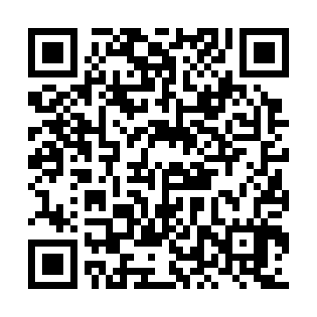 QR code for LLV307