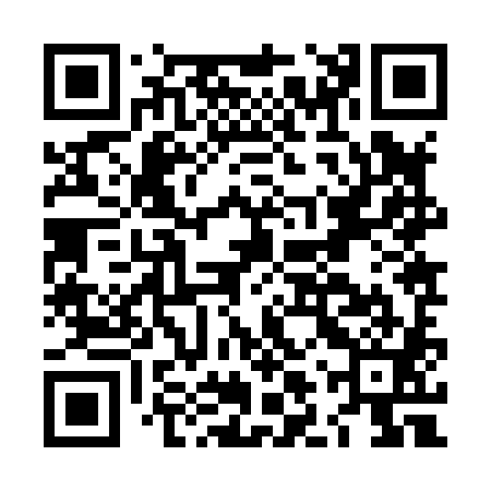 QR code for LLZ881