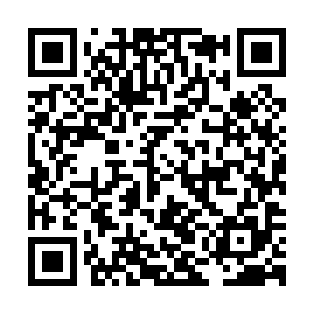 QR code for LMM095