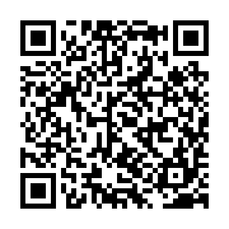 QR code for LQI294