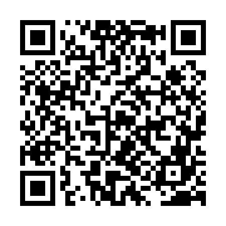 QR code for LQN166
