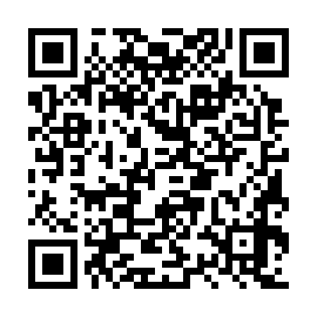 QR code for LSE378