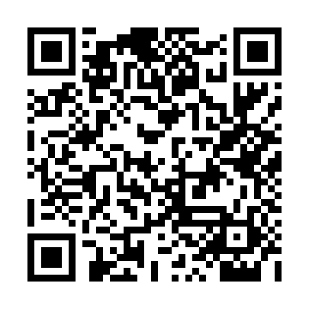 QR code for LSG482