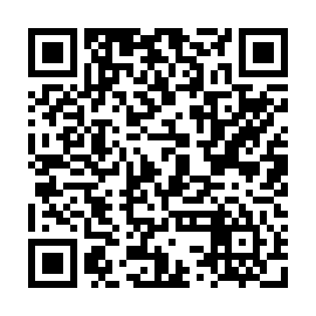 QR code for LSI245