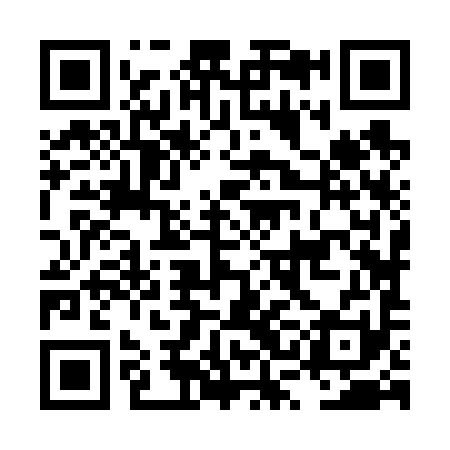 QR code for LSJ691