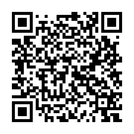 QR code for LSR124