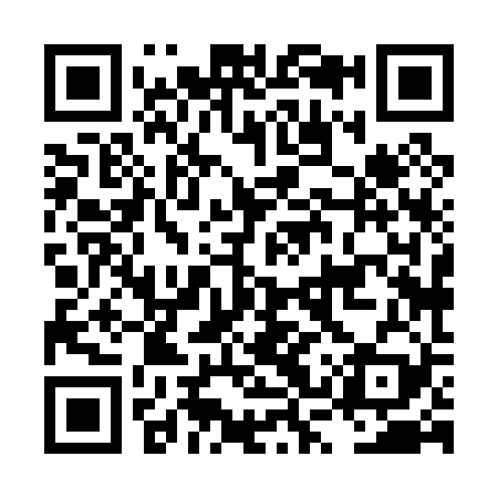 QR code for LSX029
