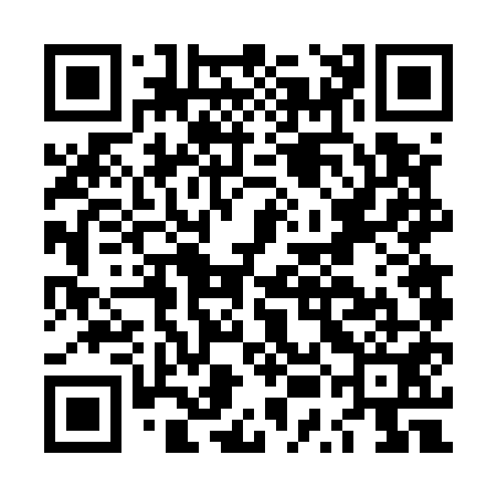 QR code for LUF551