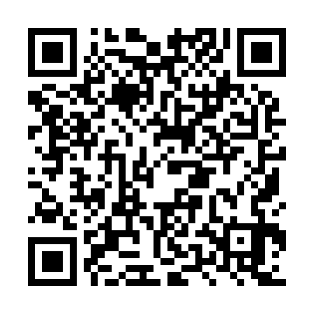 QR code for LUI933