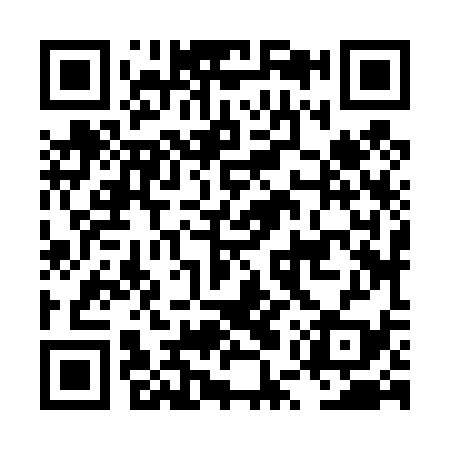 QR code for LUZ439