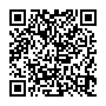 QR code for LUZ833