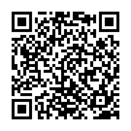 QR code for LVG334