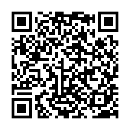 QR code for LVO381