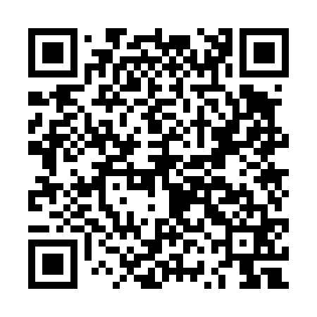 QR code for LVO461