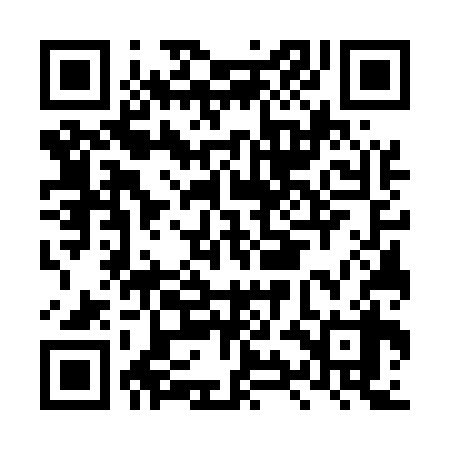 QR code for LYG538