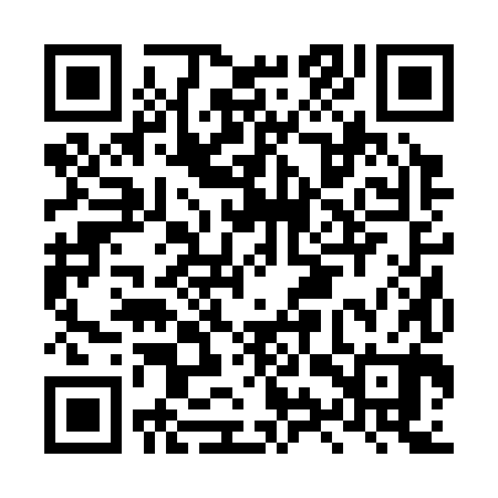 QR code for LYR380